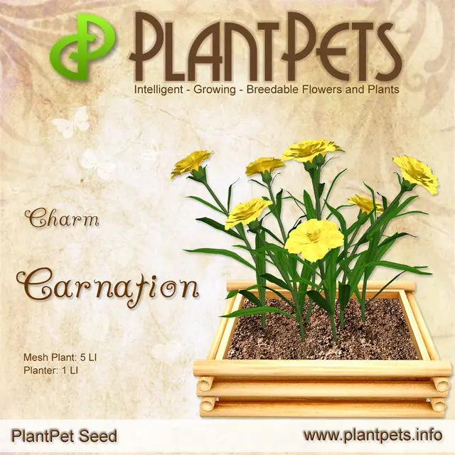 Poster for Carnation *Charm*