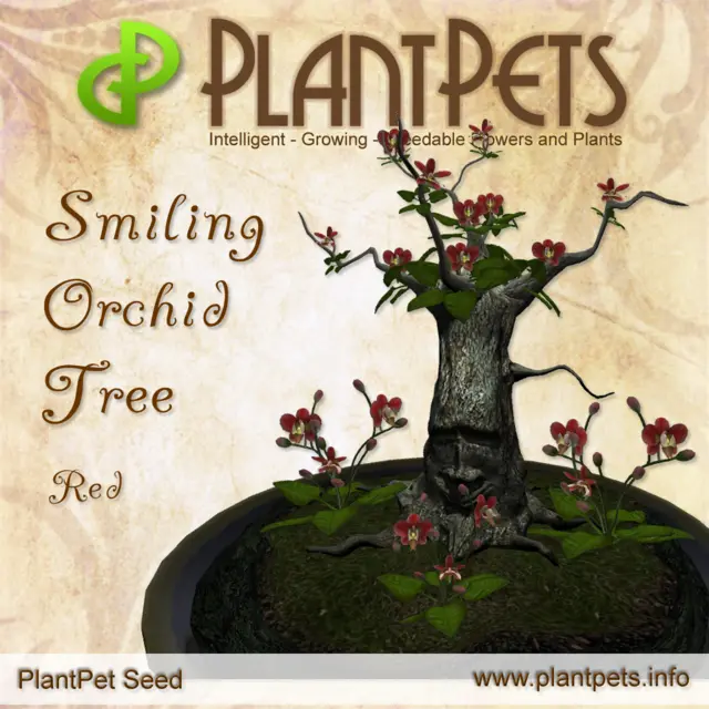 Poster for Smiling Orchid Tree *Red*