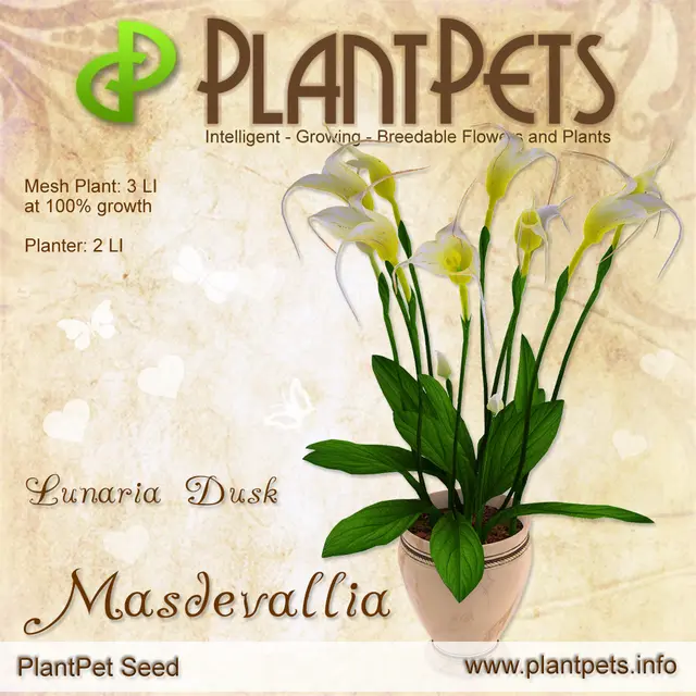 Poster for Masdevallia *Lunaria Dusk*
