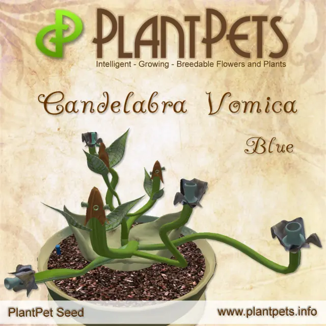 Poster for Candelabra Vomica *Blue*