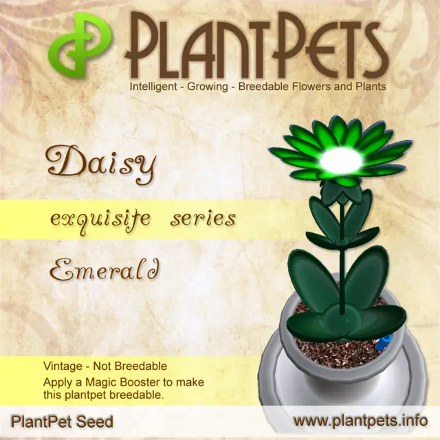 Poster for Daisy *Emerald*