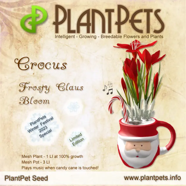 Poster for Crocus *Frosty Claus Bloom*