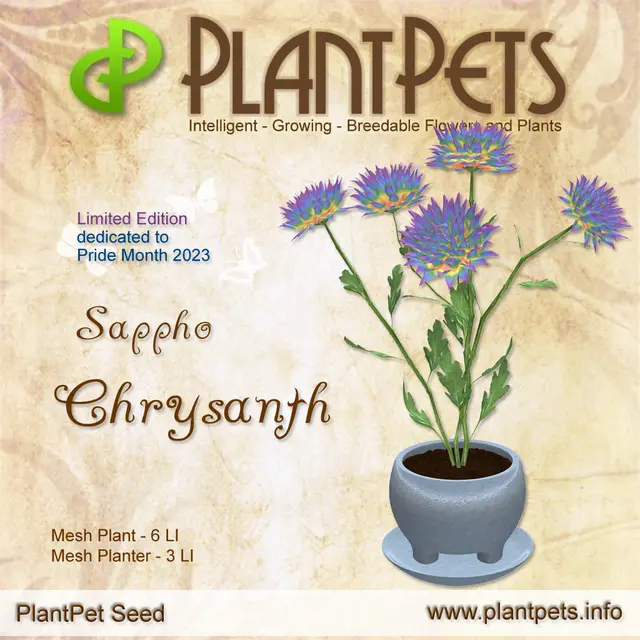 Poster for Chrysanth *Sappho*