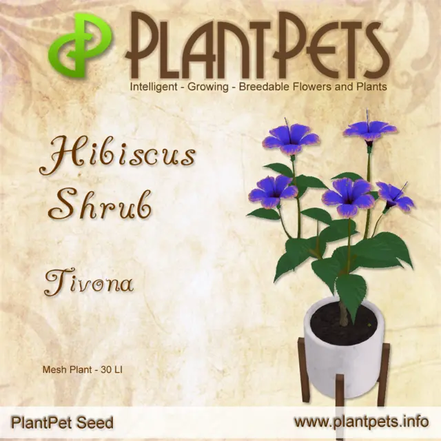 Poster for Hibiscus Shrub *Tivona*