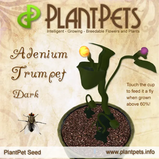 Poster for Adenium Trumpet *Dark*