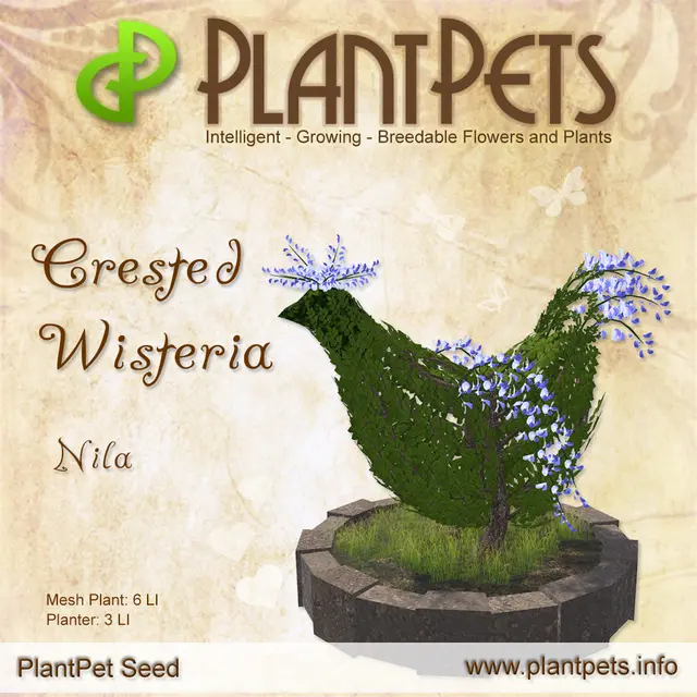 Poster for Crested Wisteria *Nila*