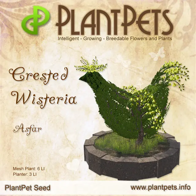 Poster for Crested Wisteria *Asfar*