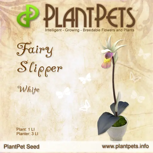 Poster for Fairy Slipper *White*
