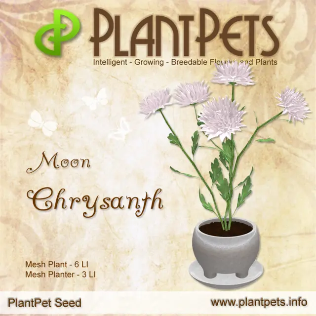 Poster for Chrysanth *Moon*