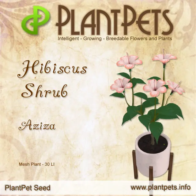 Poster for Hibiscus Shrub *Aziza*