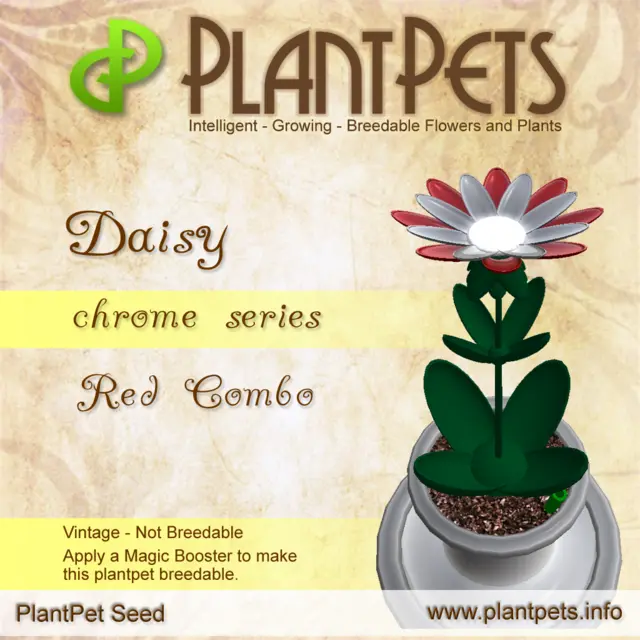 Poster for Daisy *Chrome Red Combo*