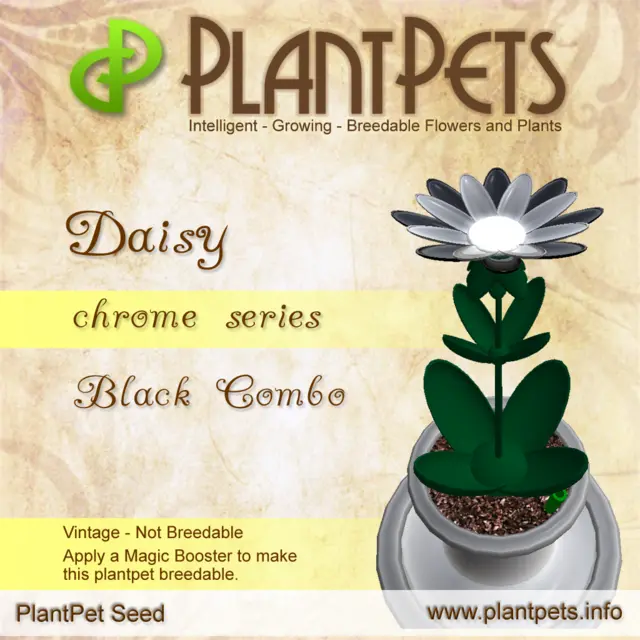 Poster for Daisy *Chrome Black Combo*