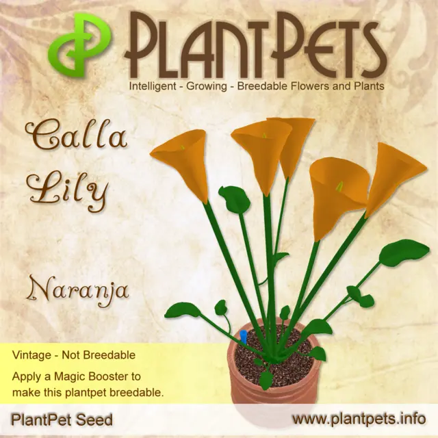Poster for Calla Lily *Naranja*