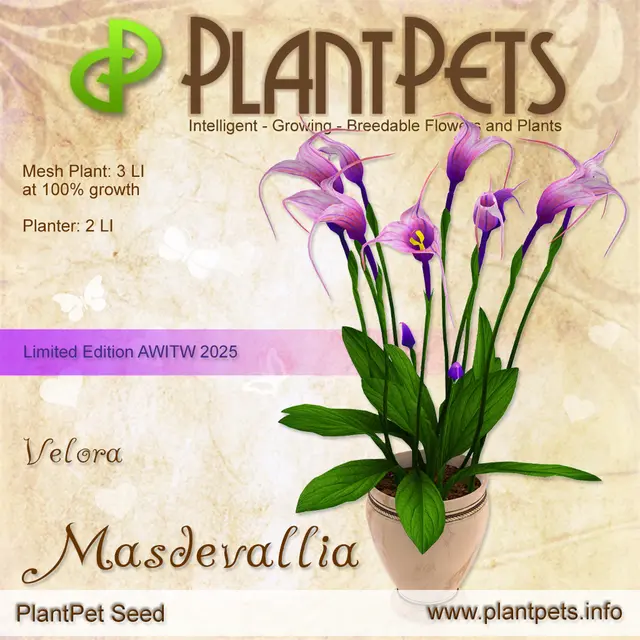 Poster for Masdevallia *Velora*
