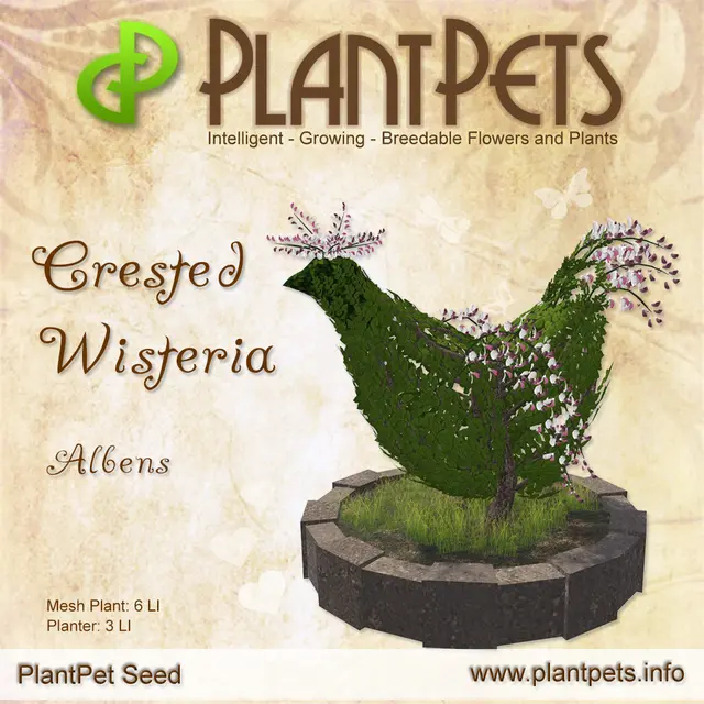 Poster for Crested Wisteria *Albens*