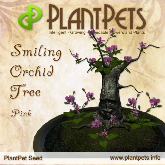 Poster for Smiling Orchid Tree *Pink*