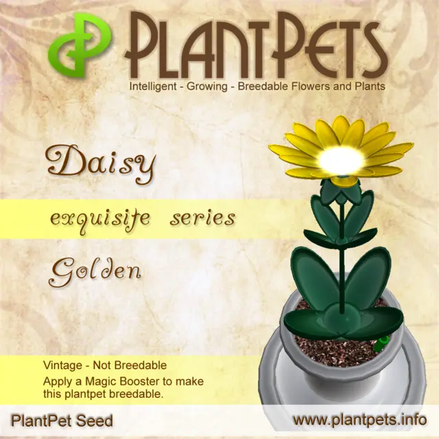 Poster for Daisy *Golden*